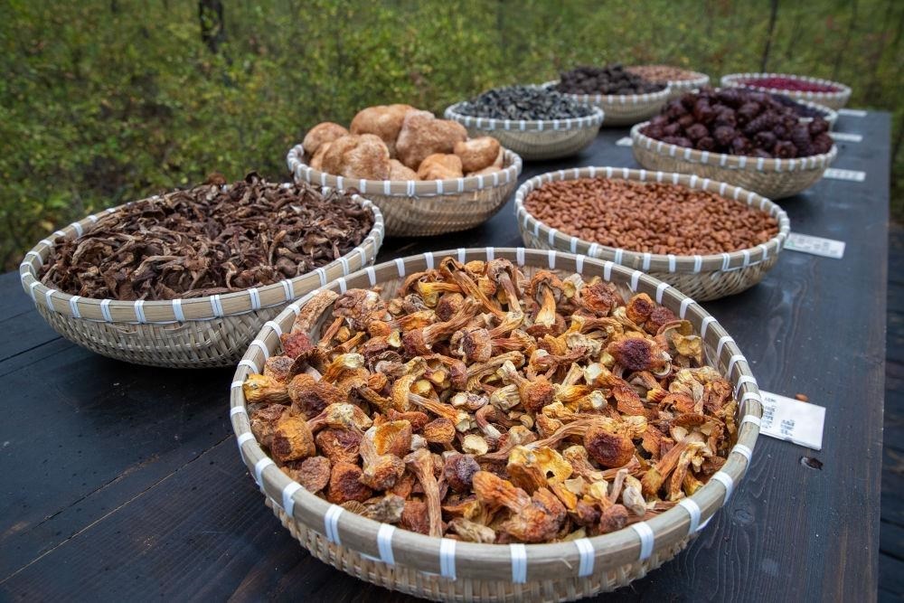 △近日，漠河市北極村一景區(qū)展示的林下產(chǎn)品。