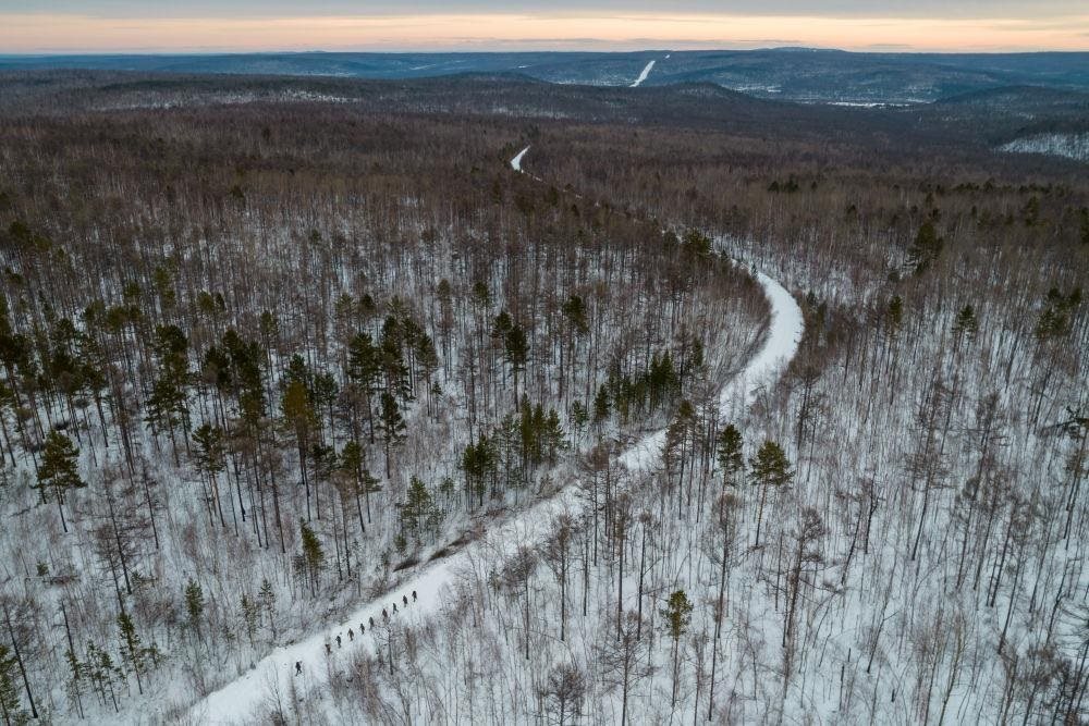 △2023年1月，漠河林場數(shù)十名職工自發(fā)組成的森林撫育隊伍，在人跡罕至的山林中作業(yè)。