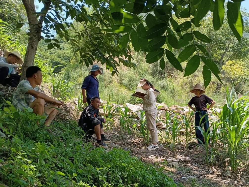 2023年7月18日，兩家村民發(fā)生土地方面的糾紛，李江女（右二）在記錄情況。受訪(fǎng)者供圖