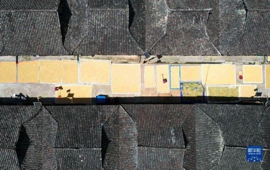 9月16日，在貴州省黔東南苗族侗族自治州從江縣加勉鄉(xiāng)污扣村，村民在晾曬稻谷（無人機(jī)照片）。