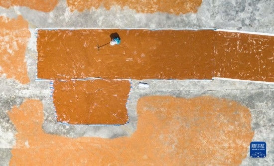 9月16日，農(nóng)民在貴州省安順市西秀區(qū)大西橋鎮(zhèn)吉昌村晾曬高粱（無人機(jī)照片）。