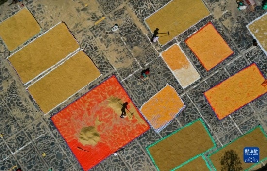 9月16日，貴州省黔東南苗族侗族自治州丹寨縣南皋鄉(xiāng)石橋村村民在晾曬農(nóng)作物（無人機(jī)照片）。