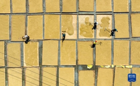 9月16日，在湖南省懷化市通道侗族自治縣萬佛山鎮(zhèn)溪上村，村民在晾曬稻谷（無人機(jī)照片）。