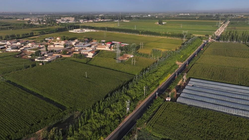 東興村周邊建起防護(hù)林網(wǎng)（無人機(jī)照片，2023年9月12日攝）。新華社記者李云平 攝