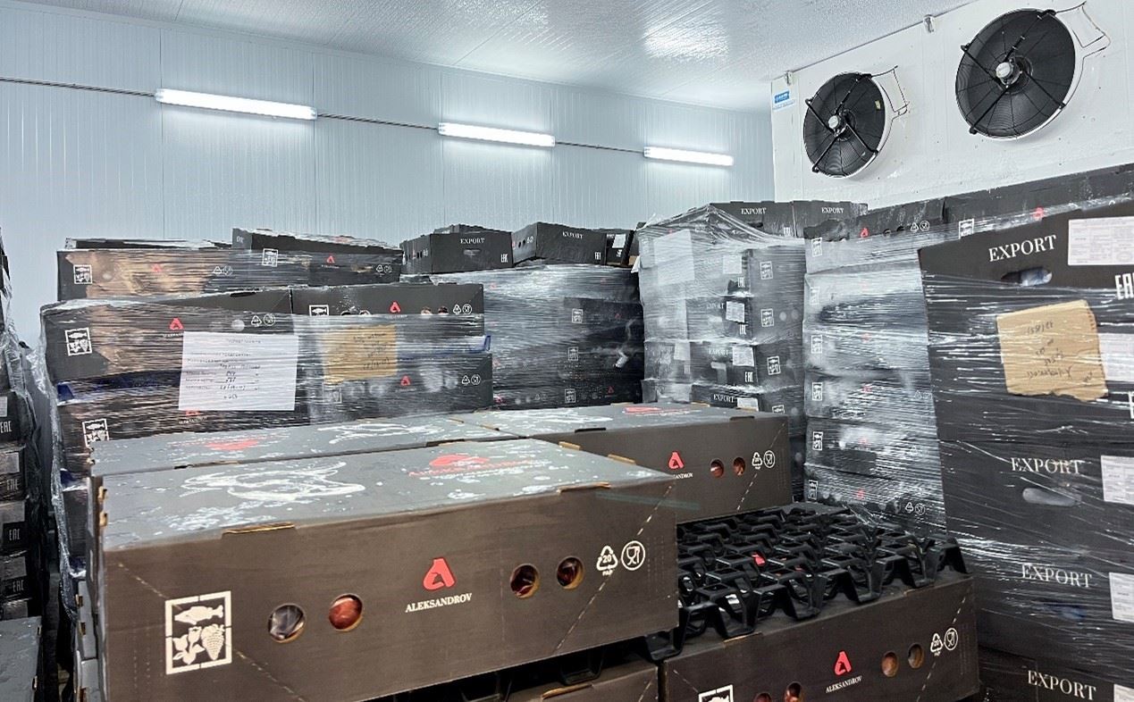 恒溫冷庫(kù)中，包裝好的牛肉等待發(fā)往中國(guó)。人民網(wǎng)記者 朱虹攝