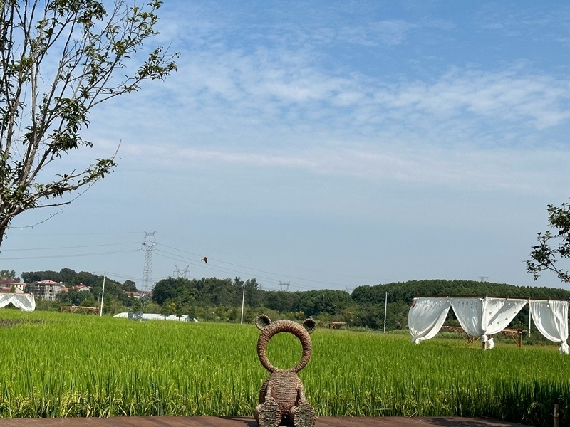 林語未來村打造農(nóng)家畈田園綜合體。人民網(wǎng) 王紹紹攝