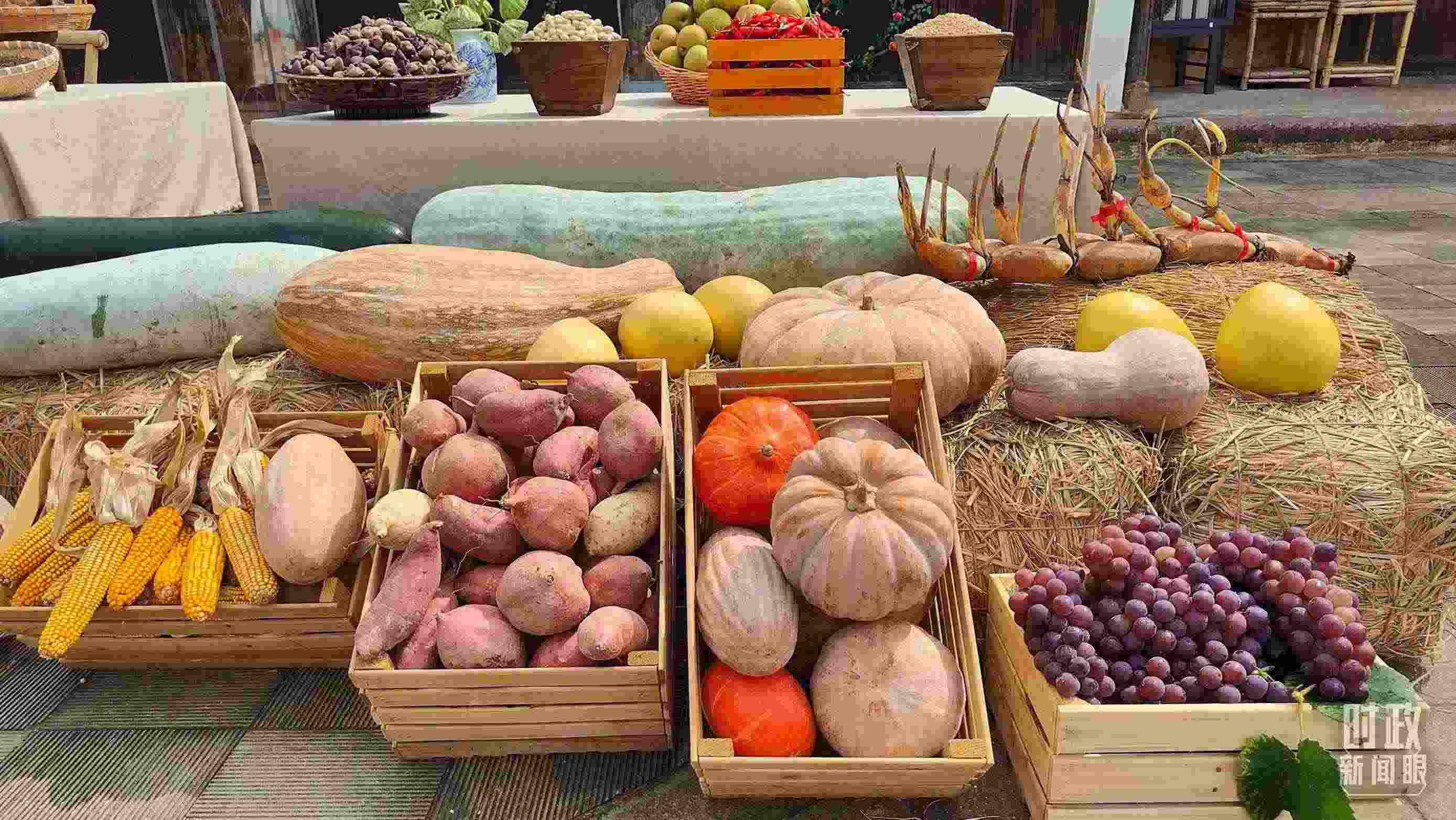 △村廣場“共富市集”，擺放著種類豐富的特色農(nóng)產(chǎn)品。（總臺央視記者楊立峰拍攝）