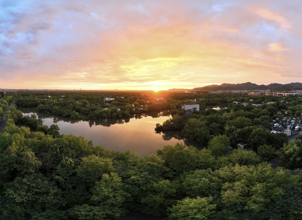 杭州西溪濕地日出景觀。
