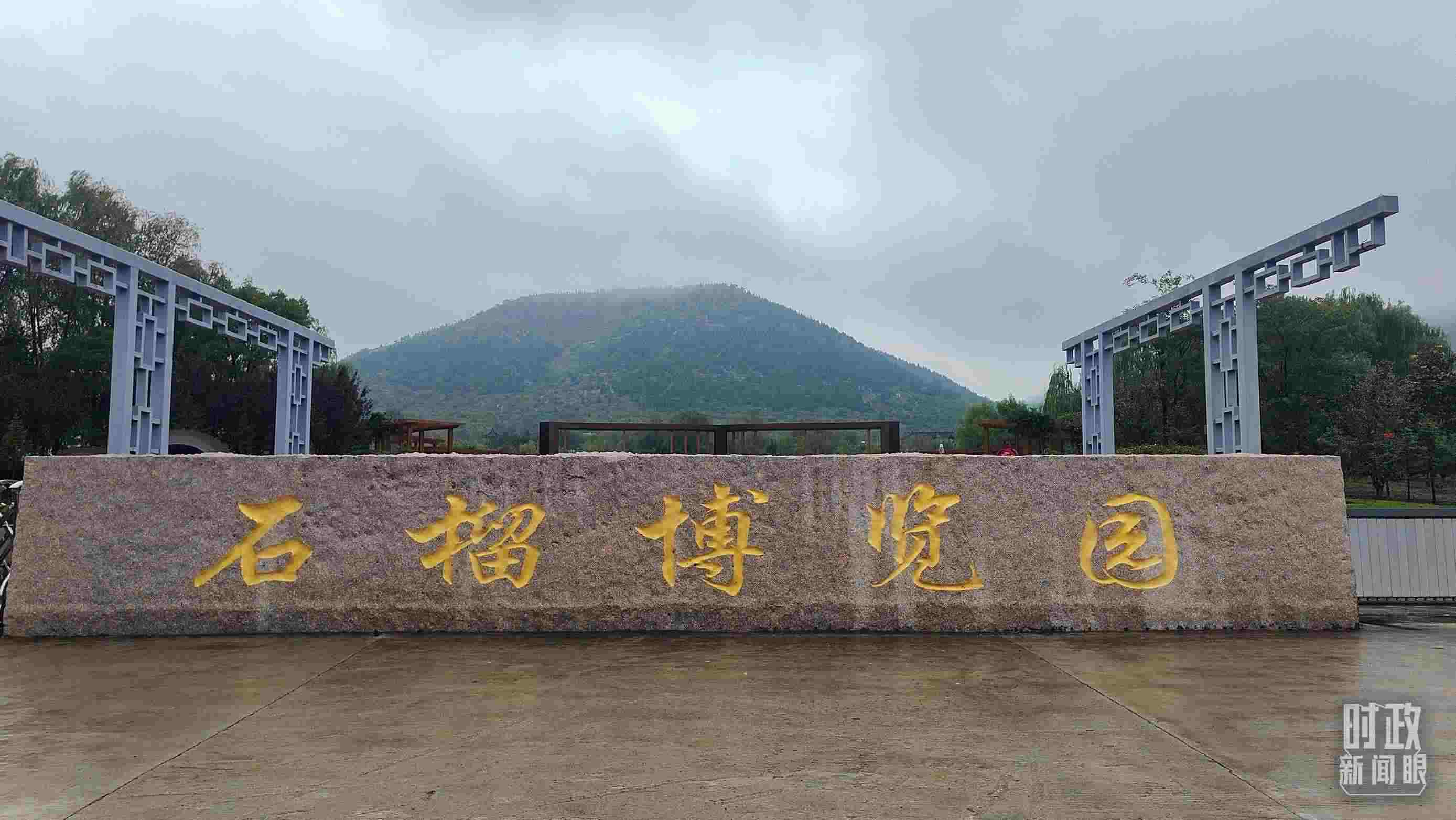 △石榴種質(zhì)資源庫位于石榴博覽園內(nèi)。（總臺(tái)央視記者楊立峰拍攝）