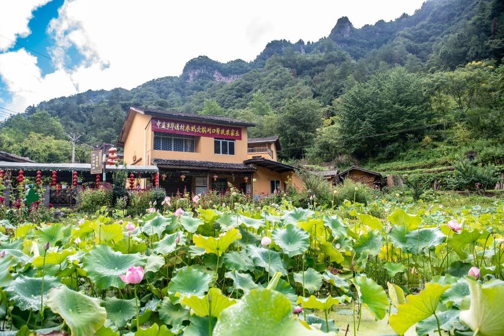 這是8月28日拍攝的華溪村村民開設(shè)的農(nóng)家樂外景。新華社記者 唐奕 攝