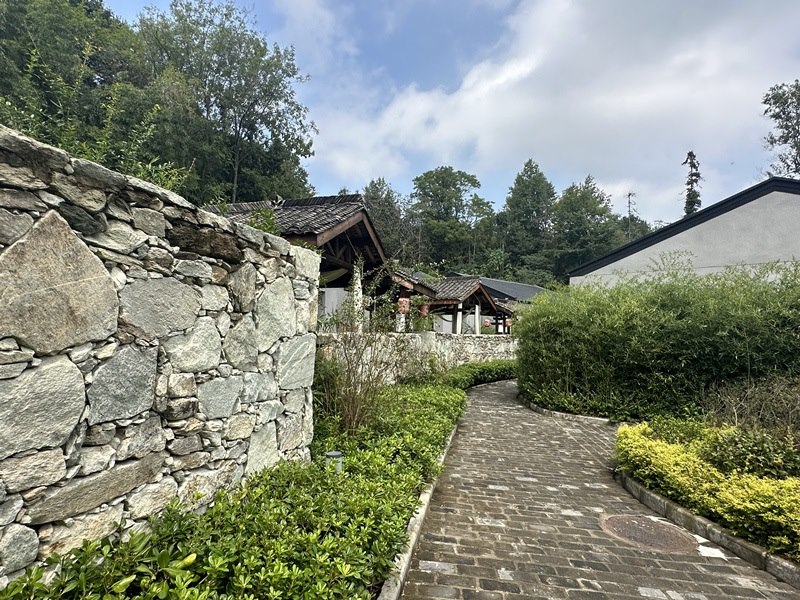 眾多民宿坐落于夫子山山麓。人民網(wǎng) 王紹紹攝