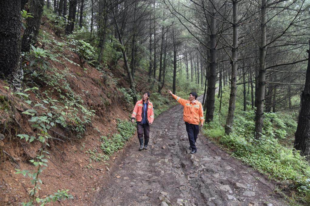 海雀村生態(tài)護(hù)林員馬正安（左）和海雀村林管員王光德（右）在日常巡山護(hù)林。新華社記者 李凡 攝