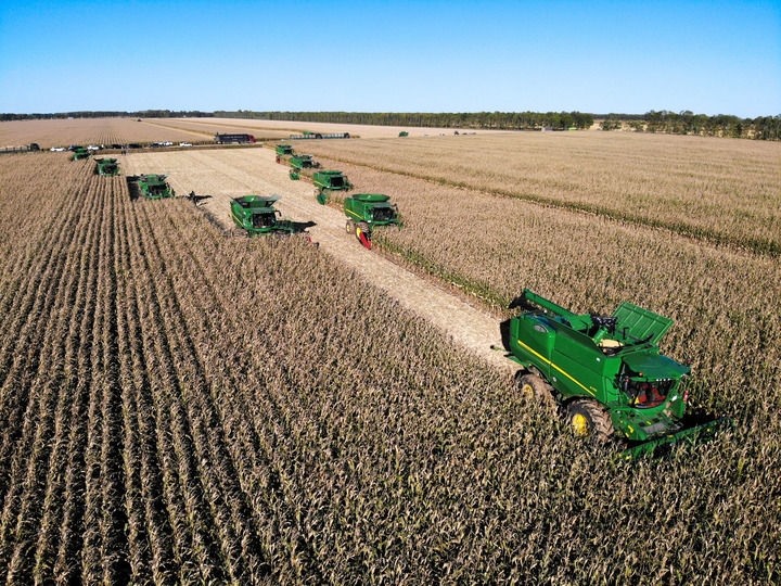 9月20日在位于黑龍江雙鴨山市友誼縣的北大荒農(nóng)業(yè)股份有限公司友誼分公司一地塊拍攝的秋收現(xiàn)場（無人機(jī)照片）。新華社記者 王松 攝