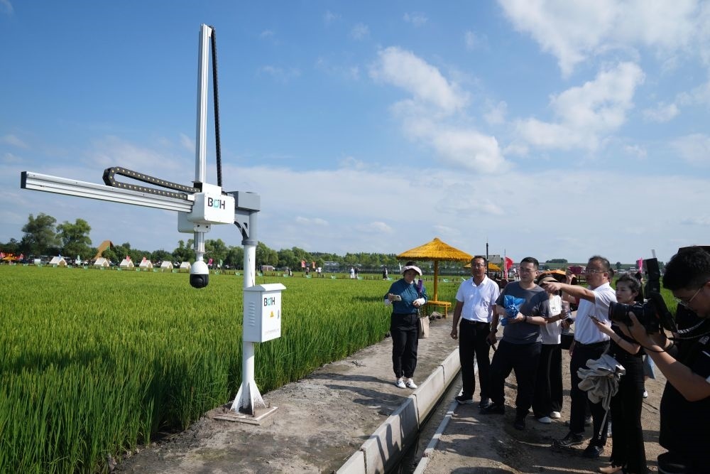 在北大荒集團閆家崗農(nóng)場有限公司農(nóng)業(yè)現(xiàn)代化示范區(qū)，工作人員在介紹利用數(shù)字技術(shù)的葉齡診斷儀（2023年8月10日攝）。新華社記者 王建威 攝
