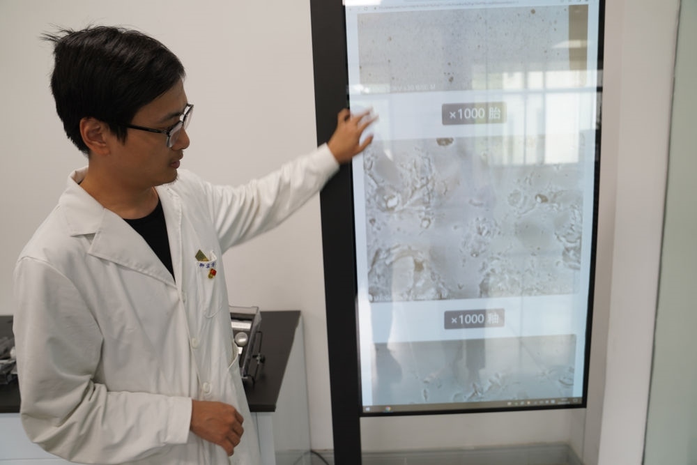 ↑ 工作人員展示瓷片標(biāo)本的配方研究數(shù)據(jù)（2023年5月16日攝）。