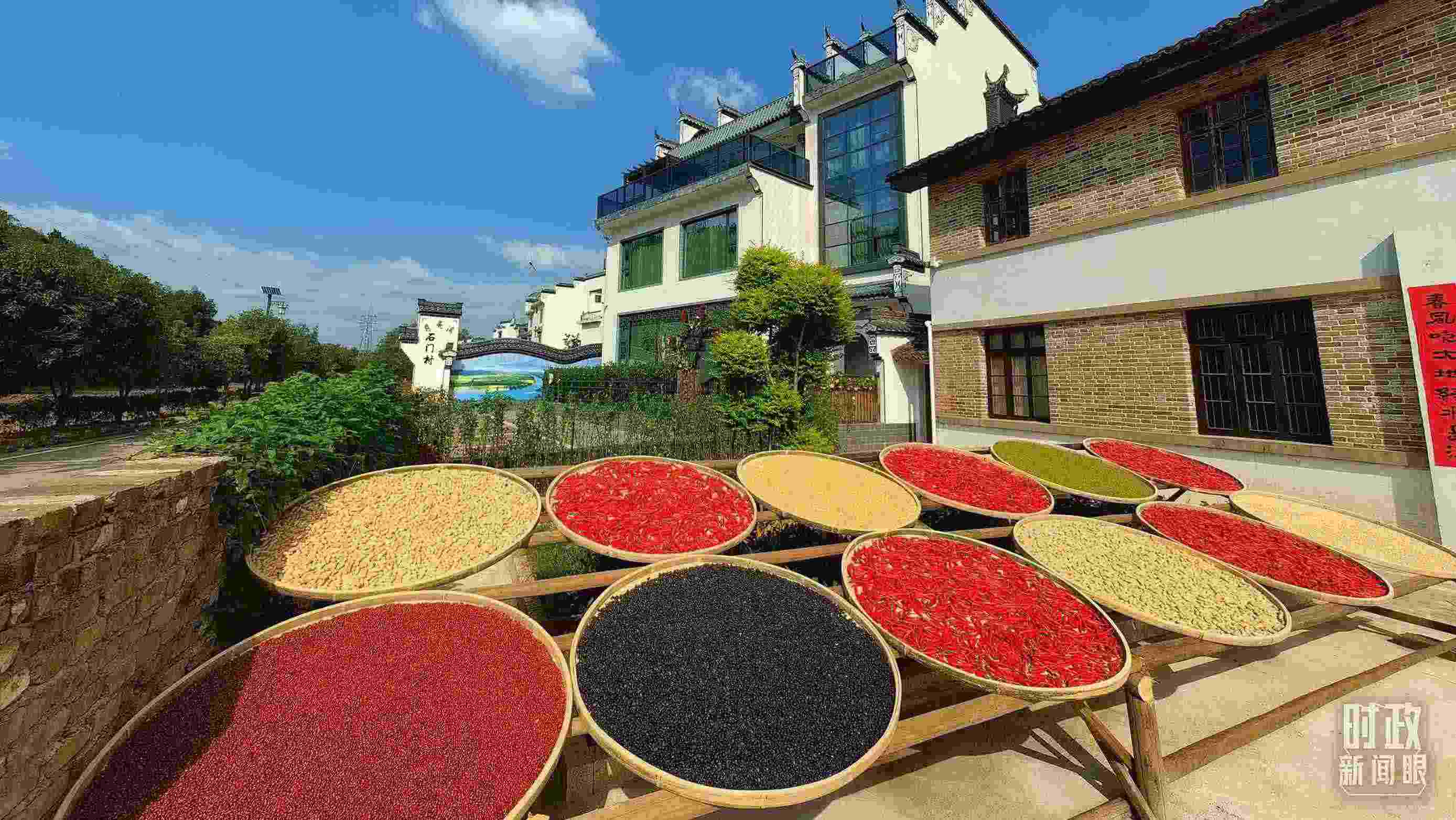 △曬秋農(nóng)俗成為婺源鄉(xiāng)村的一道美麗風(fēng)景。（總臺央視記者段德文拍攝）