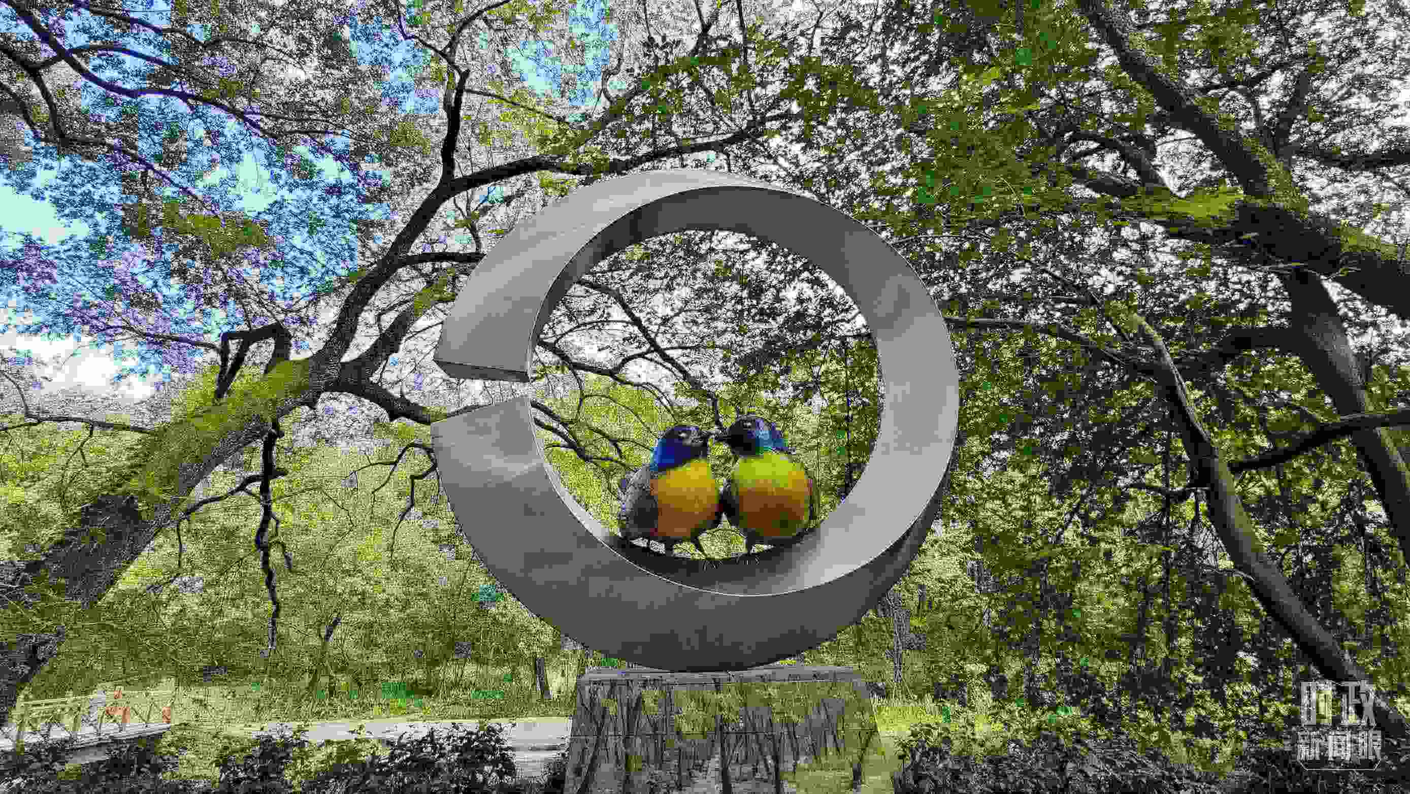 △石門村里的藍(lán)冠噪鹛雕像。（總臺央視記者許永松拍攝）