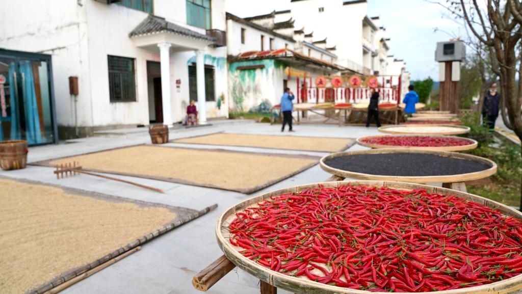近日拍攝的江西省上饒市婺源縣秋口鎮(zhèn)王村石門自然村。新華社記者 胡晨歡 攝