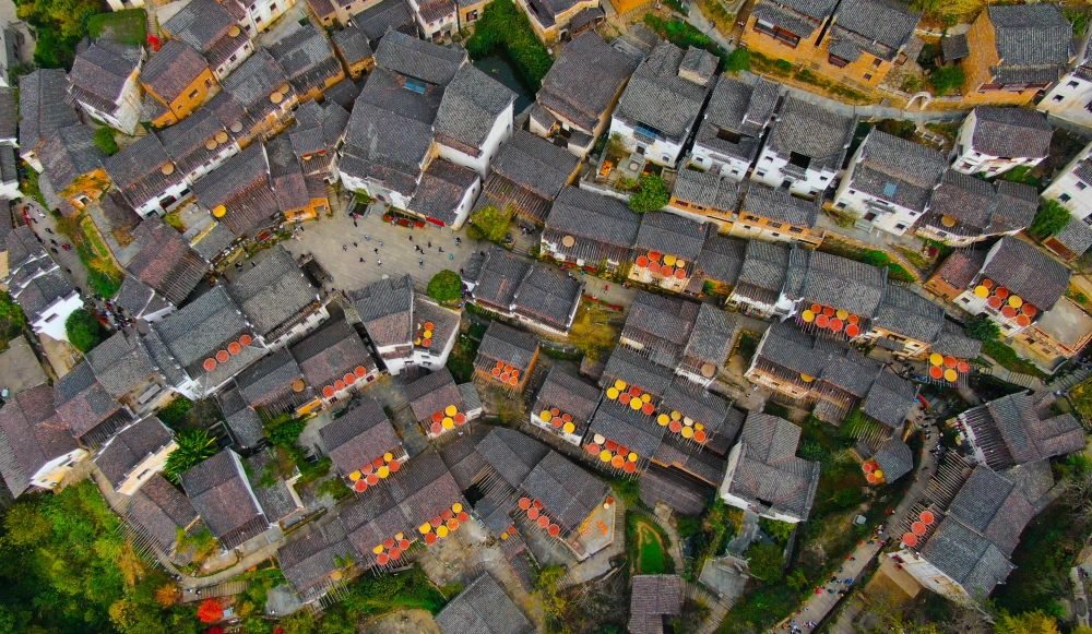 這是婺源縣江灣鎮(zhèn)篁嶺村的曬秋景象（2019年11月7日攝）。