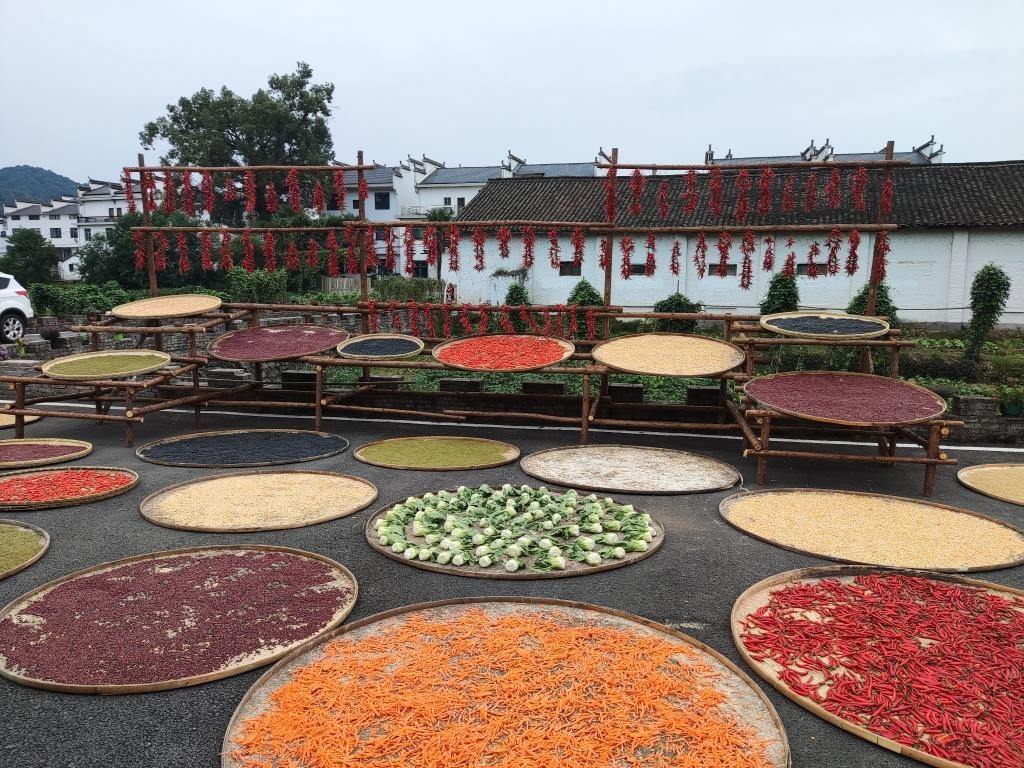 近日，江西省上饒市婺源縣秋口鎮(zhèn)王村村民晾曬的農(nóng)作物。新華社記者 劉佳敏 攝