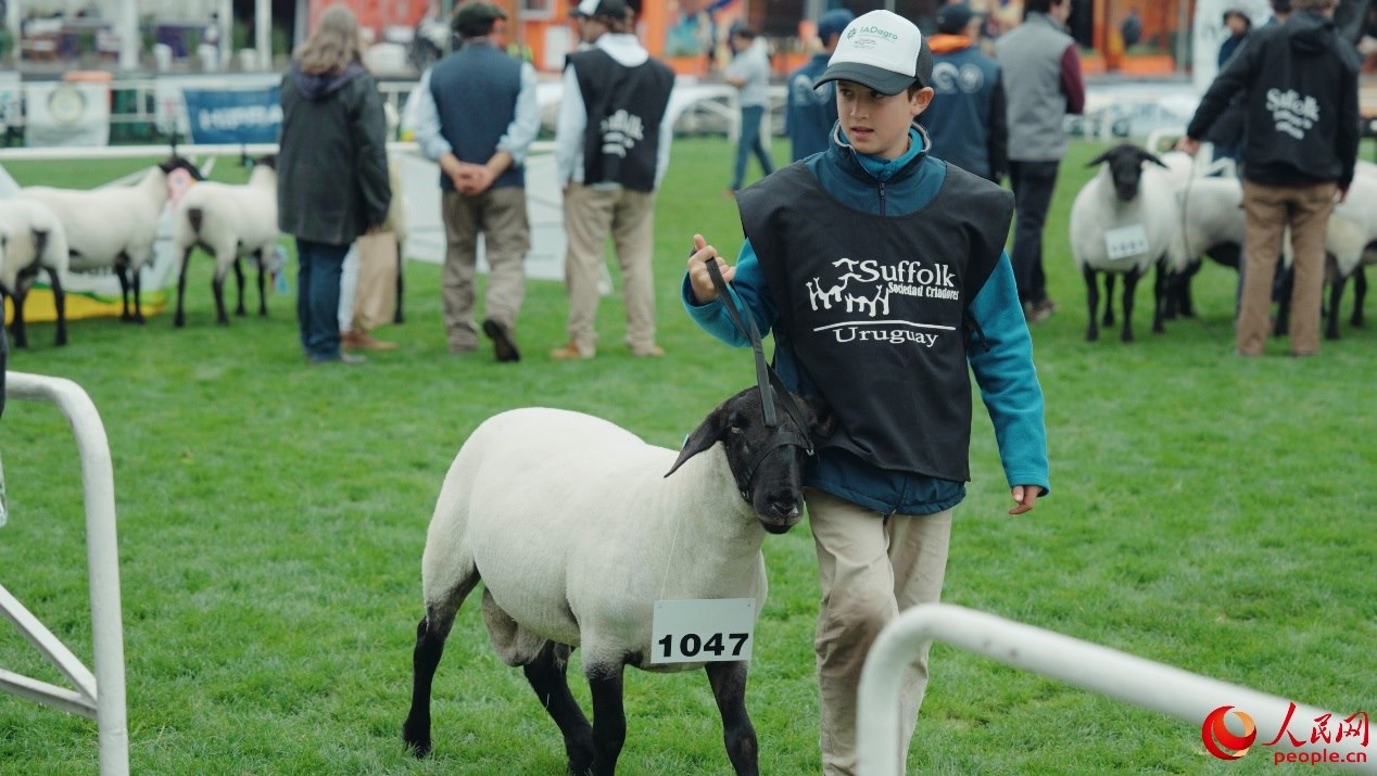 烏拉圭第118屆普拉多牧農(nóng)業(yè)國際博覽會(huì)現(xiàn)場(chǎng)。人民網(wǎng)記者 張若涵攝
