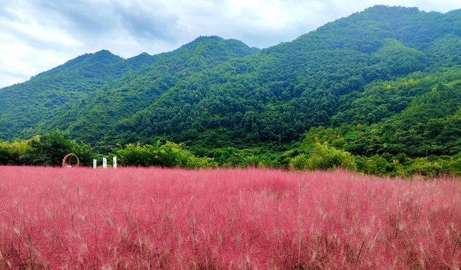 寶成線鳳縣境內(nèi)的路邊。