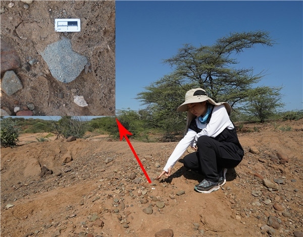 地層中的勒瓦婁哇石片。中肯聯(lián)合考古隊(duì)供圖