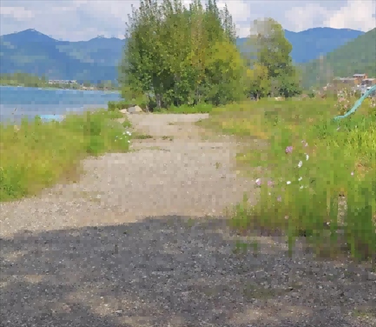 王軍所說被填區(qū)域。 人民網(wǎng)記者 黃鈺攝