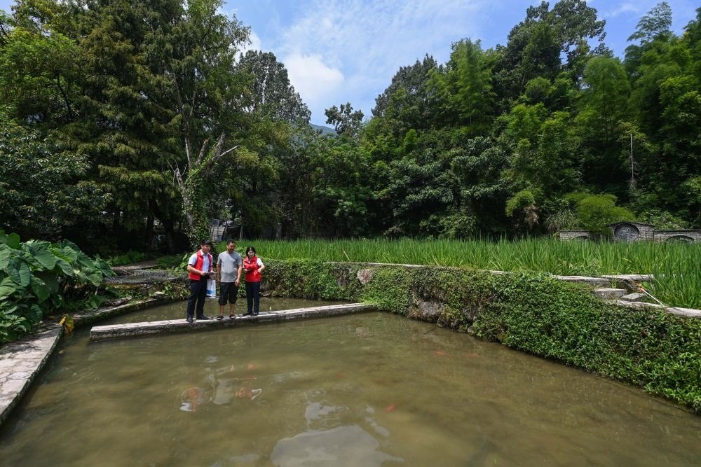 2023年8月17日，浙江省麗水市青田縣方山鄉(xiāng)田魚養(yǎng)殖戶吳勇強(qiáng)（中）在接受青田農(nóng)商銀行“小蜻蜓”服務(wù)隊(duì)志愿者提供的“惠民易貸”上門服務(wù)。近年來(lái)，青田縣金融發(fā)展中心聯(lián)合各個(gè)金融機(jī)構(gòu)優(yōu)化配套鄉(xiāng)村振興金融服務(wù)，推出“惠民易貸”“農(nóng)家樂貸”等金融產(chǎn)品，重點(diǎn)支持涉農(nóng)龍頭企業(yè)及特色種養(yǎng)殖產(chǎn)業(yè)。新華社記者 徐昱 攝