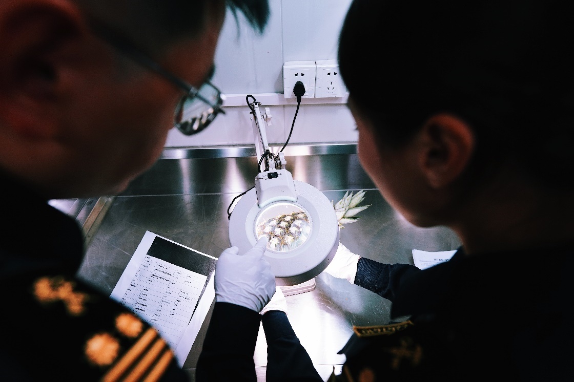 上海海關(guān)關(guān)員針對檢疫性有害生物和農(nóng)藥殘留進(jìn)行檢疫檢驗(yàn)。陳興洲攝