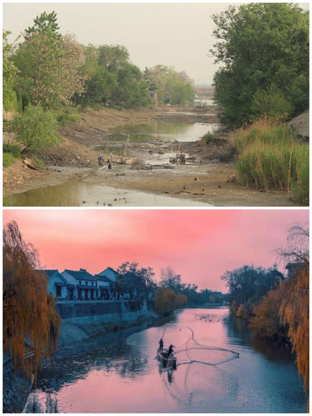 江蘇省揚州市江都區(qū)明清運河故道整治前后。（上圖：2012年；下圖：2020年）（孫友定 攝）