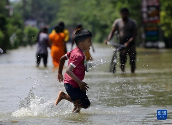 11月24日，一名男孩在斯里蘭卡加姆珀哈涉水出行。新華社發(fā)（阿吉特·佩雷拉攝）