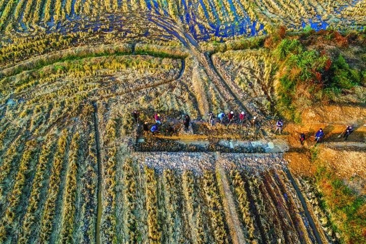 良渚遺址考古發(fā)掘現(xiàn)場。