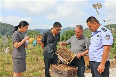  圖②：蒙山法院黃村法庭法官深入蜂蜜合作社，實地了解蜂農(nóng)需求。