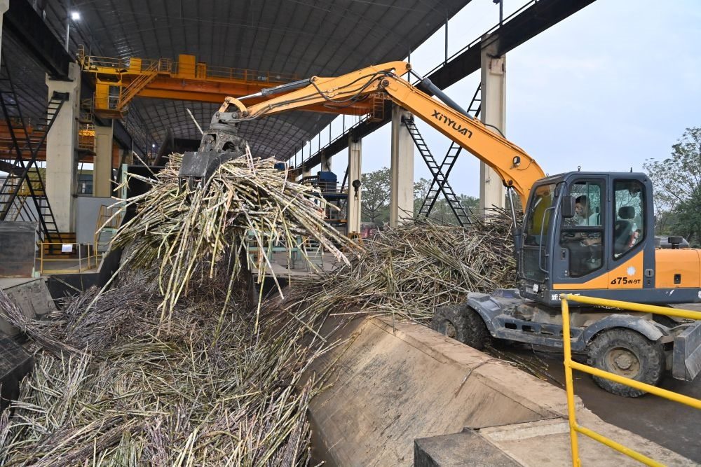 12月14日，在廣西來(lái)賓東糖鳳凰有限公司，員工操作機(jī)械將甘蔗投入傳送帶，準(zhǔn)備送往壓榨車(chē)間。