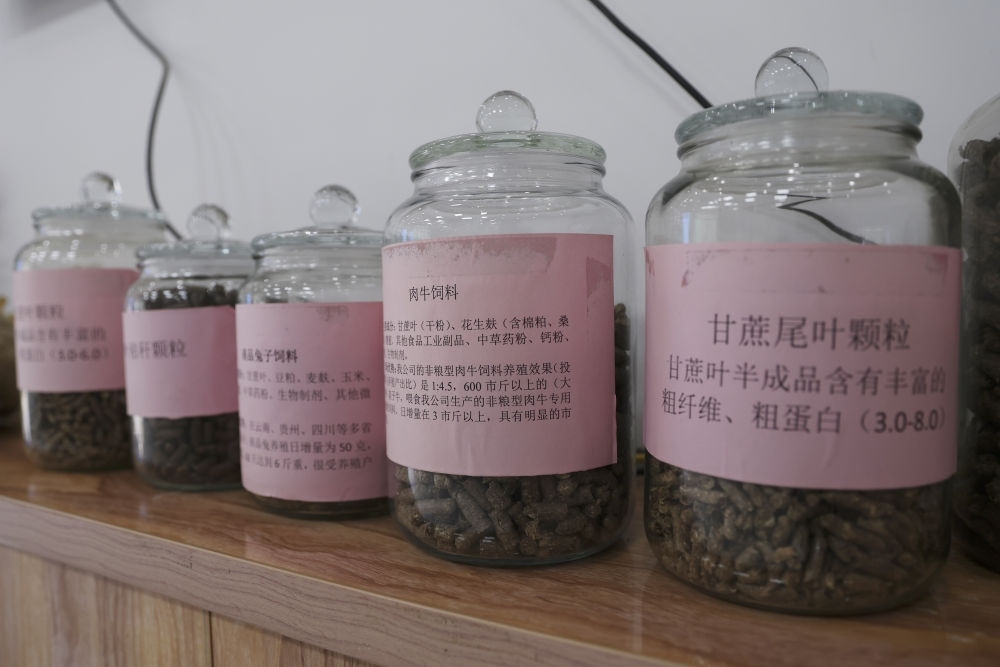 這是12月13日在來(lái)賓市興賓區(qū)小平陽(yáng)鎮(zhèn)一家飼料廠拍攝的以甘蔗尾葉為原料制成的飼料。