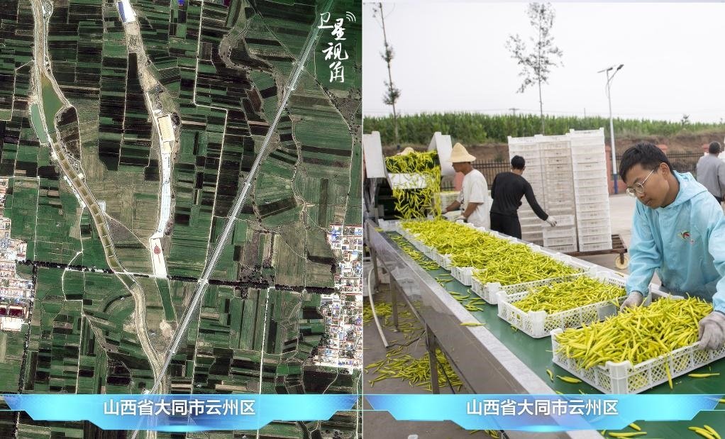 當(dāng)前，大同市開發(fā)黃花菜品、食品、飲品、功能食品、化妝品、文創(chuàng)產(chǎn)品六大系列130余種，全產(chǎn)業(yè)鏈產(chǎn)值超40億元。