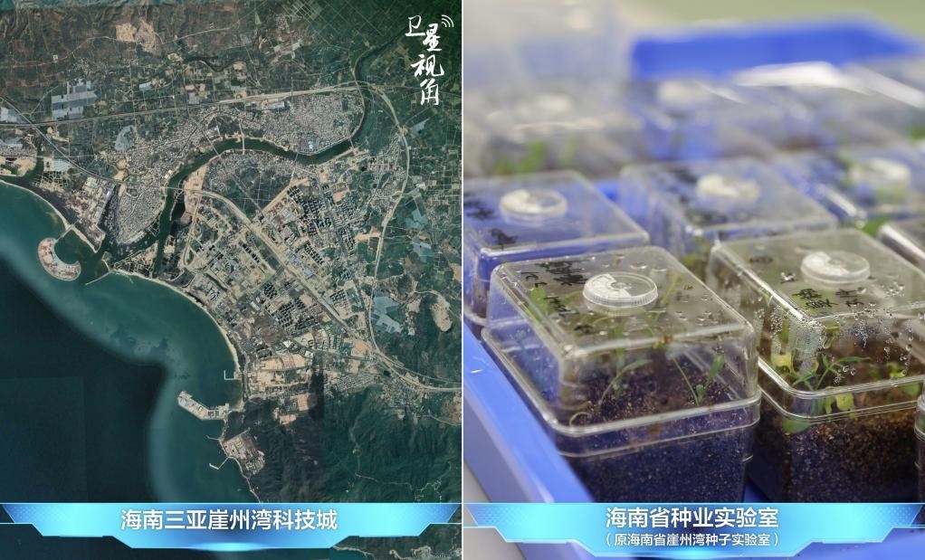 位于三亞崖州灣科技城的海南省種業(yè)實(shí)驗(yàn)室（原海南省崖州灣種子實(shí)驗(yàn)室）將形成輻射全國和“一帶一路”沿線國家的種子科學(xué)技術(shù)創(chuàng)新中心。