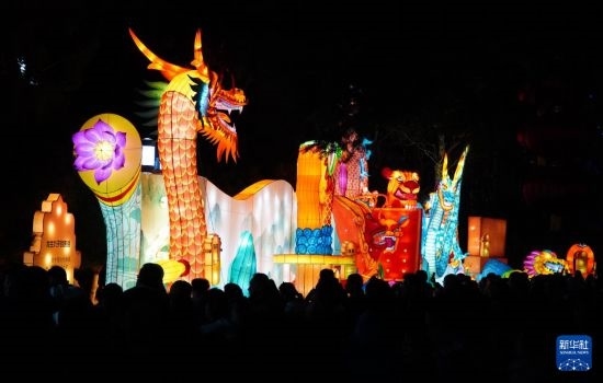 2月11日晚，人們在濟南市趵突泉公園觀賞花燈。