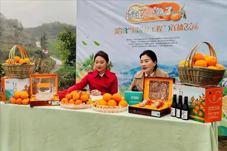 2021年2月26日，在重慶渝北區(qū)大盛鎮(zhèn)青龍村舉辦的直播活動(dòng)現(xiàn)場(chǎng)。