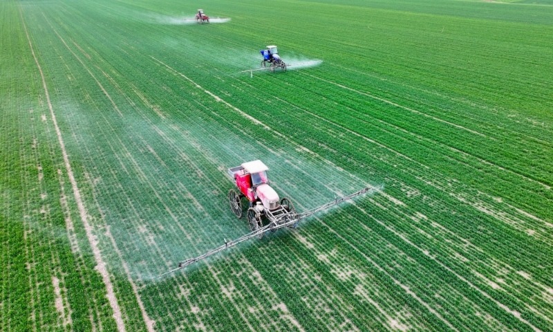 2024年2月18日，安徽省亳州市，利辛縣紀王場鄉(xiāng)孫老家村麥田，農(nóng)民駕駛自走式高桿噴霧機對小麥進行噴藥作業(yè)。