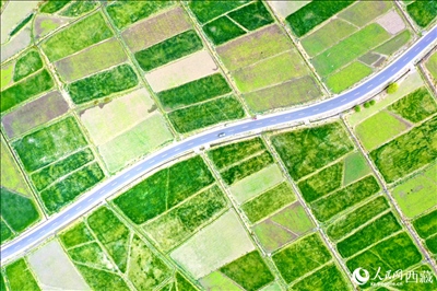無人機(jī)視角下的西藏山南市瓊結(jié)農(nóng)田。人民網(wǎng)記者 次仁羅布攝