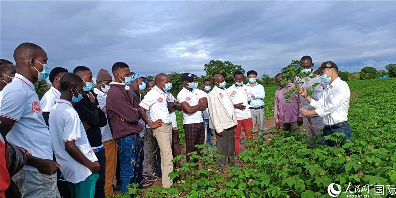 項目組長首小勇向當(dāng)?shù)孛揶r(nóng)做技術(shù)講解。人民網(wǎng)記者 黃培昭攝