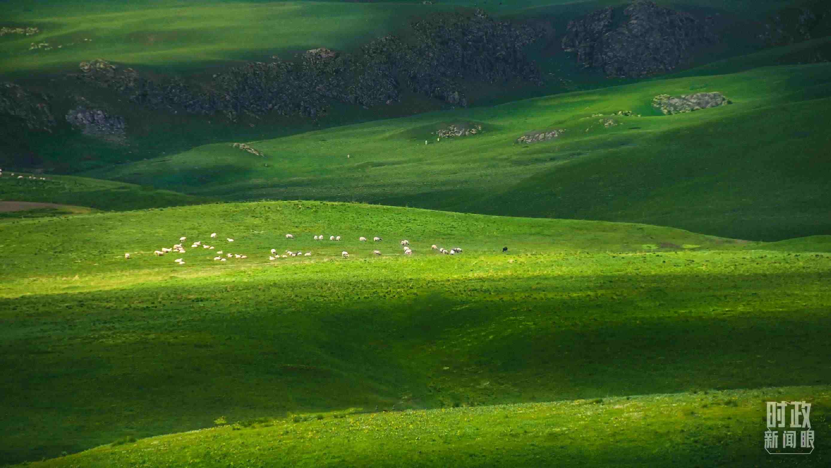 △祁連山草原光影。（圖/視覺中國(guó)）