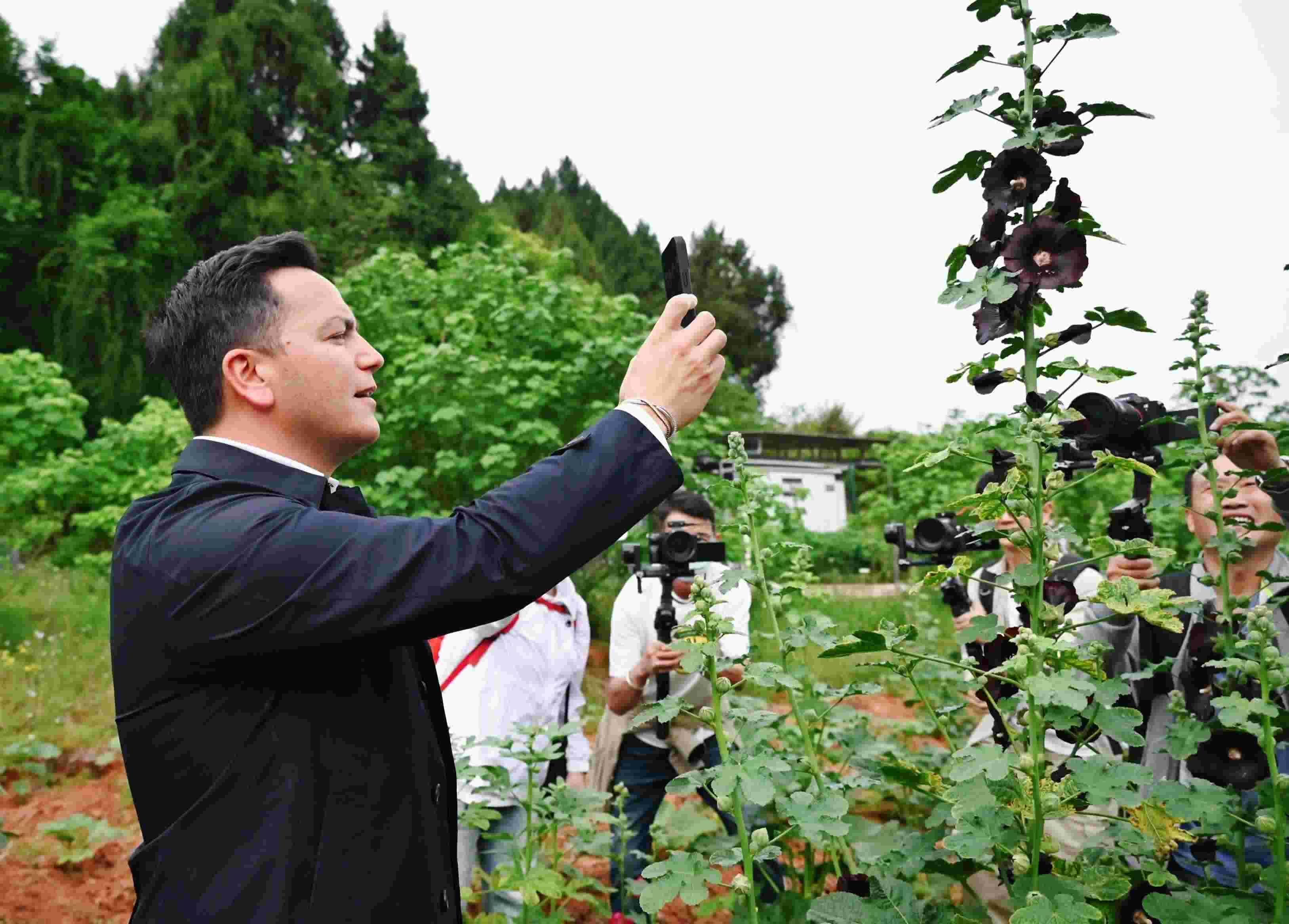  △2024年4月23日，國際園藝生產(chǎn)者協(xié)會主席萊昂納多·卡皮塔尼奧在成都市金堂縣鮮花山谷景區(qū)考察蜀葵產(chǎn)業(yè)。