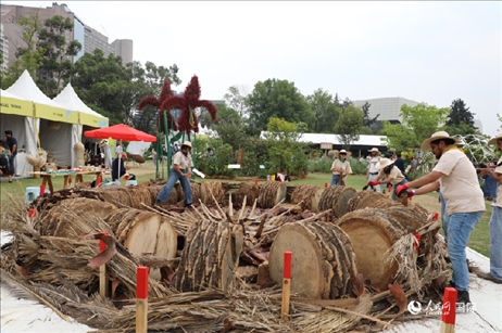 坎波·馬特活動現(xiàn)場。埃內(nèi)斯托·多明戈斯攝