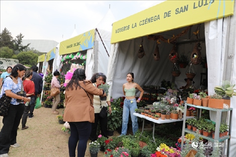 坎波·馬特活動現(xiàn)場。埃內(nèi)斯托·多明戈斯攝