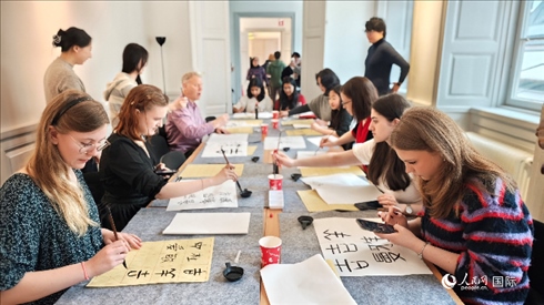 瑞典書法愛好者專心學(xué)習(xí)書法。人民網(wǎng)記者 殷淼攝