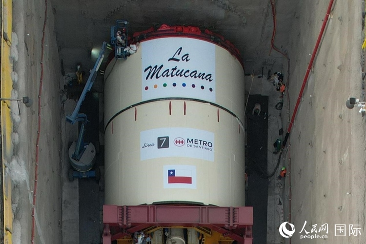 質(zhì)構機全景。陳露明攝