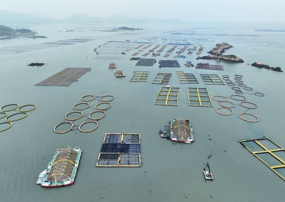 在福建連江定海灣海域，坐落著“定海灣1號(hào)”“定海灣2號(hào)”等深遠(yuǎn)海養(yǎng)殖平臺(tái)（2024年5月7日攝，無(wú)人機(jī)照片）。新華社記者 林善傳 攝